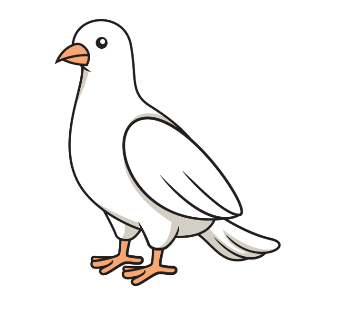 How to draw a dove