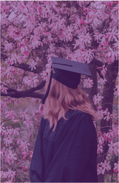 essay writing services essay writing services