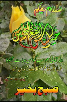 subah bakhair