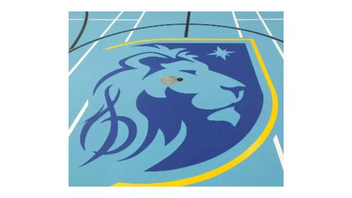 The Science Behind Polyurethane Sports Flooring Elevating Athlete Performance in Gymnasiums of Ontario