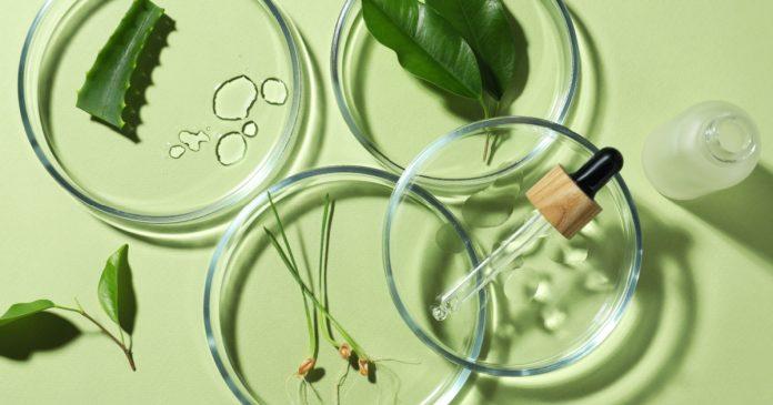 wholesale personal care products