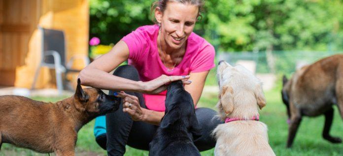 Adult Dog Trainer in Horsham