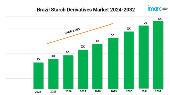 Brazil Starch Derivatives Market