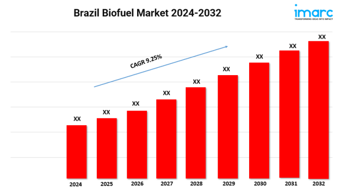 Brazil Biofuel Market Brazil Biofuel Market